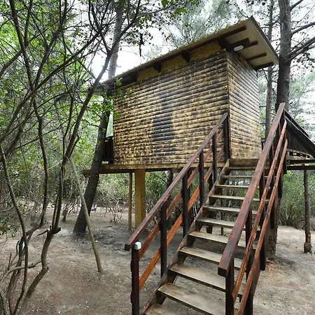 Baumhaus 1 - 4 Personen Prázdninový dům Ražanac
