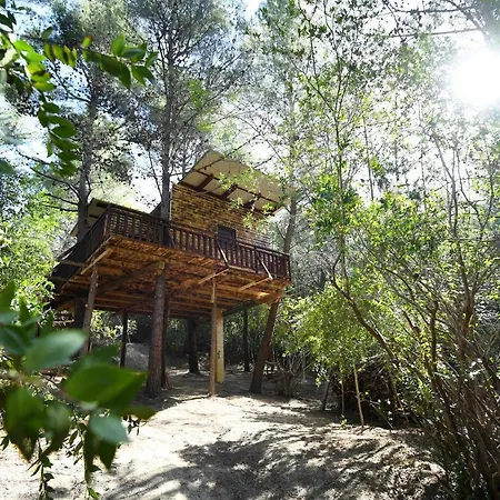 Prázdninový dům Baumhaus 1 - 4 Personen